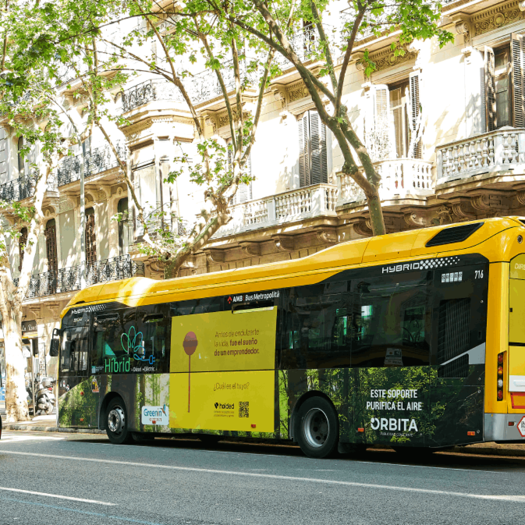 Bus Holded Amarillo
